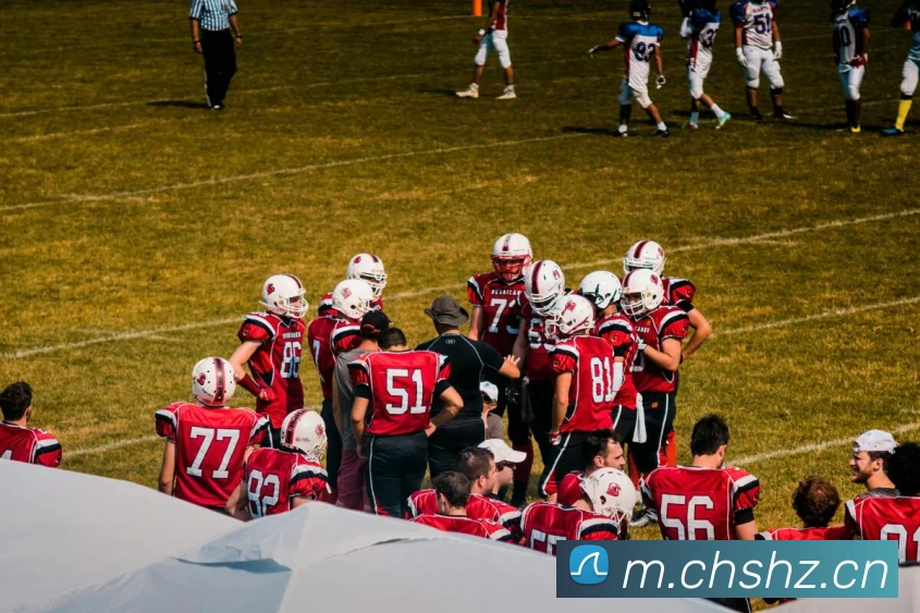 天博b综合体育APP 封面图